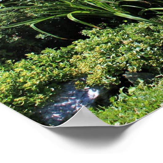 Landenkooipad Poster (Hoek)