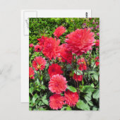 LANDENLANDBOUWSTROMEN BRIEFKAART (Voorkant / Achterkant)