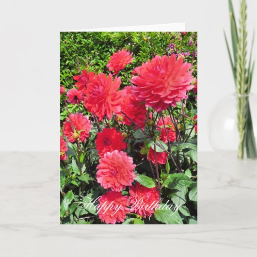 LANDENLANDBOUWSTROMEN KAART (Voorkant)