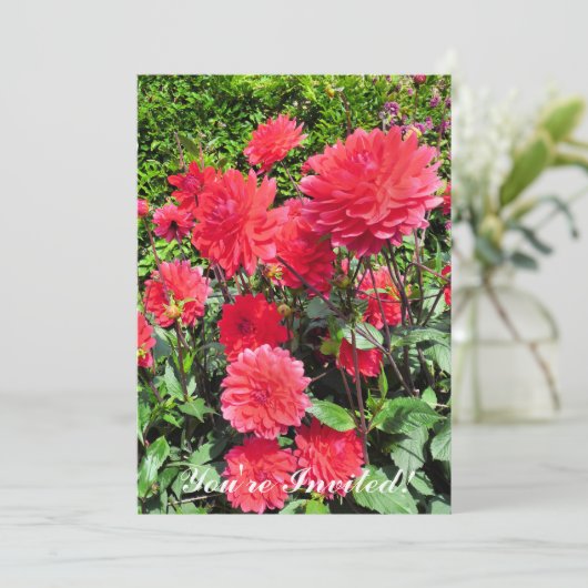 LANDENLANDBOUWSTROMEN KAART (Staand voorkant)