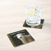 Landenschapenpartij Kartonnen Onderzetters (Insitu)