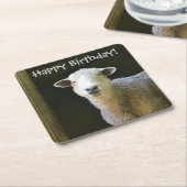 Landenschapenpartij Kartonnen Onderzetters (Schuin)