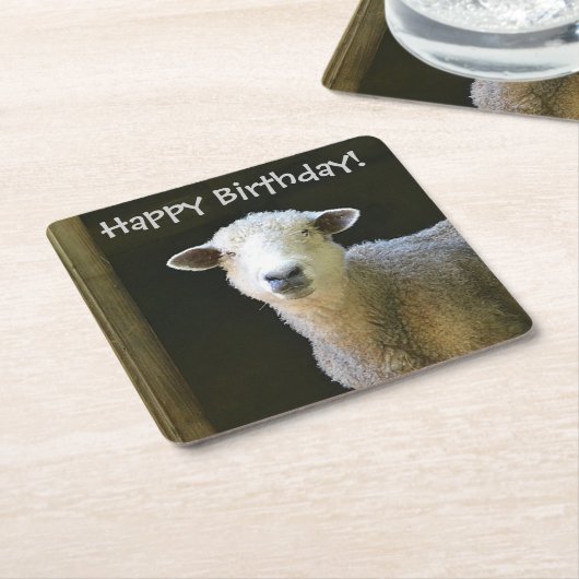 Landenschapenpartij Kartonnen Onderzetters (Schuin)