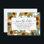 Landenschurkgeel zonnebloemen Waterverf Patroon Save The Date<br><div class="desc">Dit elegante, artsachtige en schattige bloempatroon is perfect voor de zomer of het voorjaar. Het is voorzien van handbeschilderde goudgele, ferngroene, bruine en zwarte waterverf zonnebloemen bovenop een eenvoudige witte achtergrond. Het is een land, modern, lief, uniek, trendy en origineel. Stijlvol met handbeschilderde afdrukken gemaakt door de kunstenaar van La...</div>