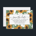 Landenschurkgeel zonnebloemen Waterverf Patroon Save The Date<br><div class="desc">Dit elegante, artsachtige en schattige bloempatroon is perfect voor de zomer of het voorjaar. Het is voorzien van handbeschilderde goudgele, ferngroene, bruine en zwarte waterverf zonnebloemen bovenop een eenvoudige witte achtergrond. Het is een land, modern, lief, uniek, trendy en origineel. Stijlvol met handbeschilderde afdrukken gemaakt door de kunstenaar van La...</div>