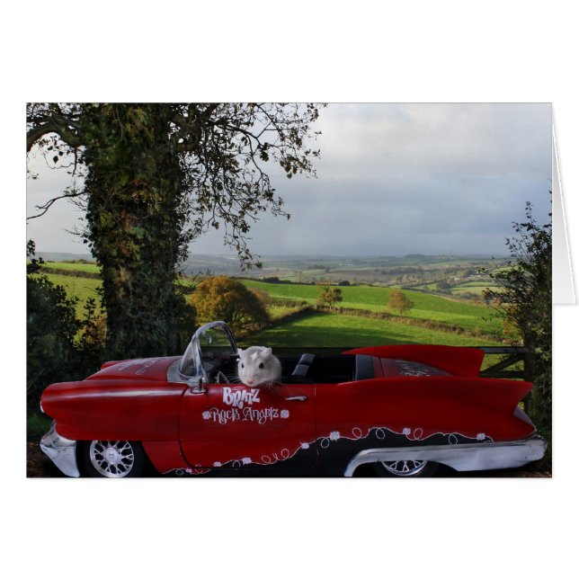 Landenstation (Voorkant Horizontaal)