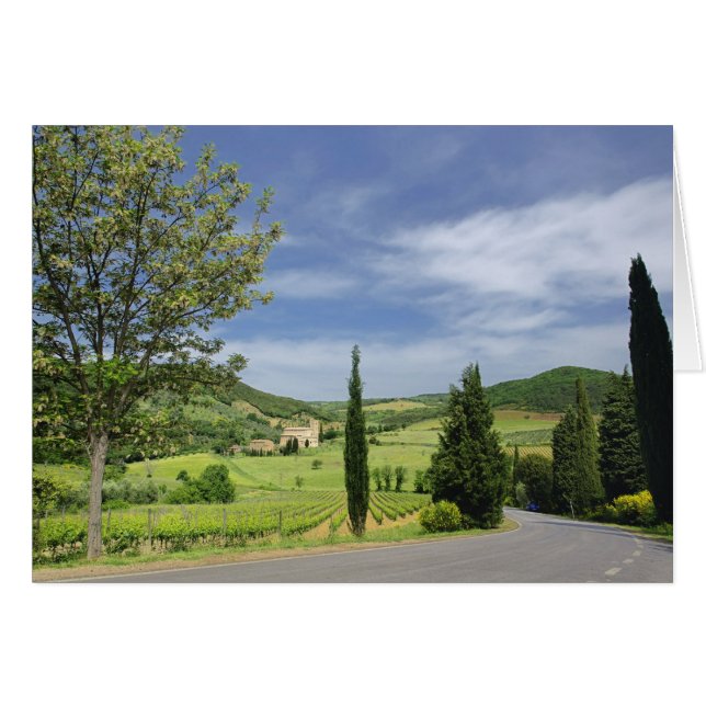 Landenstreep tussen cyperbomen in (Voorkant Horizontaal)