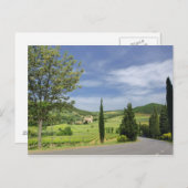 Landenstreep tussen cyperbomen in briefkaart (Voorkant / Achterkant)