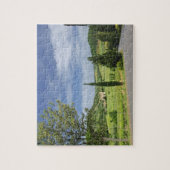 Landenstreep tussen cyperbomen in legpuzzel (Verticaal)