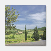 Landenstreep tussen cyperbomen in magneet (Voorkant)