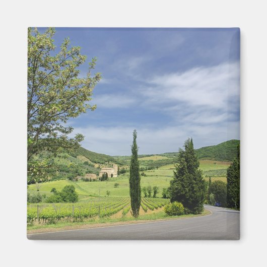 Landenstreep tussen cyperbomen in magneet (Voorkant)