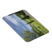 Landenstreep tussen cyperbomen in magneet (Rechterzijde)