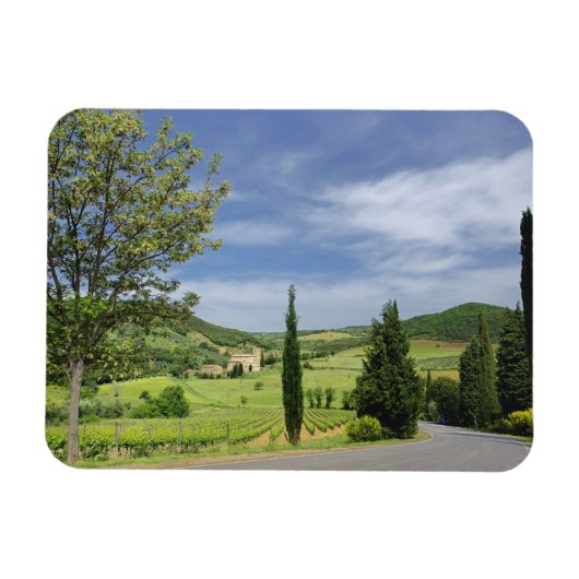 Landenstreep tussen cyperbomen in magneet (Horizontaal)