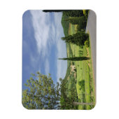 Landenstreep tussen cyperbomen in magneet (Verticaal)