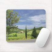 Landenstreep tussen cyperbomen in muismat (Met muis)