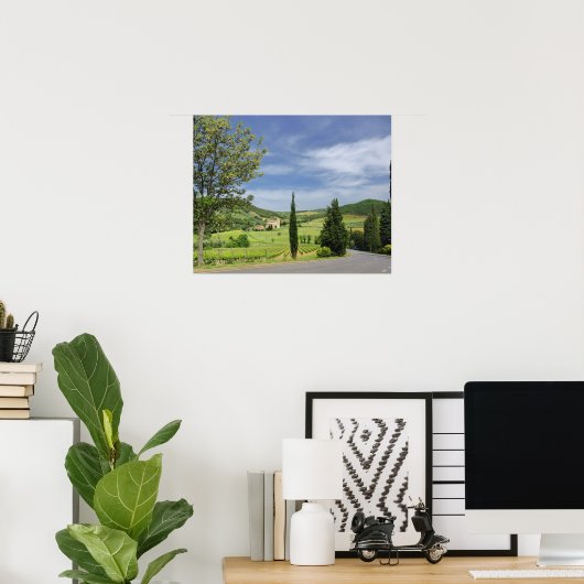 Landenstreep tussen cyperbomen in poster (Thuiskantoor)