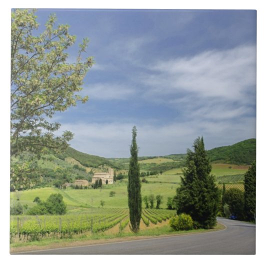 Landenstreep tussen cyperbomen in tegeltje (Voorkant)