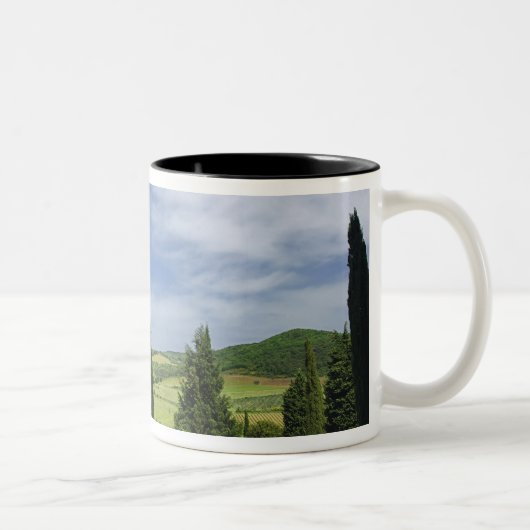 Landenstreep tussen cyperbomen in tweekleurige koffiemok (Rechts)