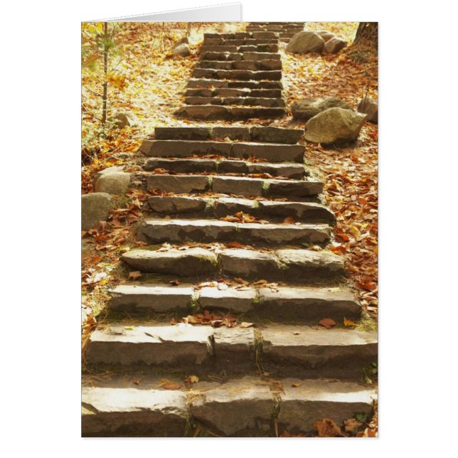 Landentrajecten (Voorkant)