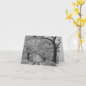 Landenweg in de winter: Cheshire Kaart (Gele Bloem)