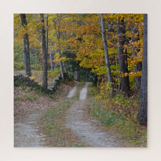 Landenweg in het najaar legpuzzel (Verticaal)