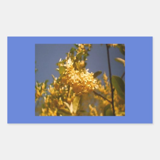 LandenzomerFloral Rechthoekige Sticker (Voorkant)