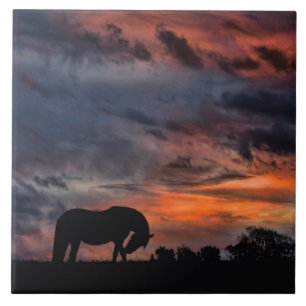 Landenzonsopgang Tegeltje