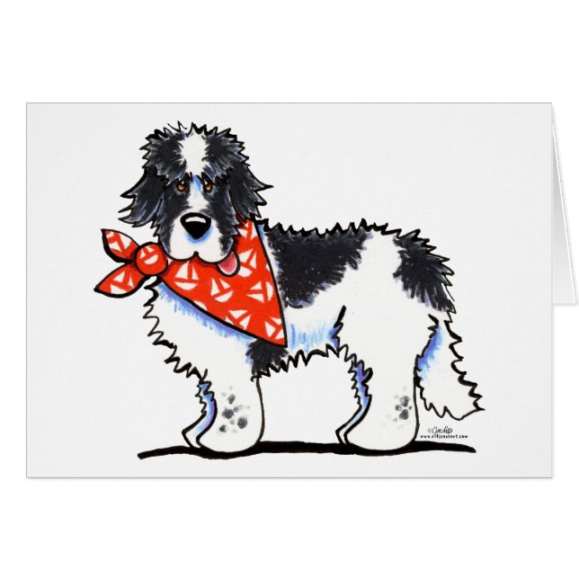 Lander Newfie Sailor (Voorkant Horizontaal)