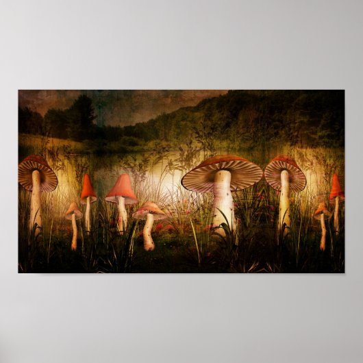 Landering in de buurt poster (Voorkant)