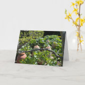 Landgaard met de Rhubarb en de Terracotta Pots Kaart (Gele Bloem)