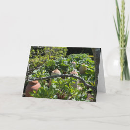 Landgaard met de Rhubarb en de Terracotta Pots Kaart