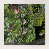 Landgaard met de Rhubarb en de Terracotta Pots Legpuzzel (Horizontaal)