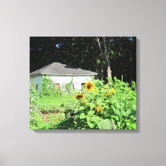 Landgaren omgepakt Canvas Afdruk (Voorkant)