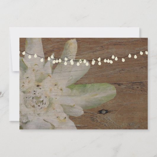 Landgebondenheid Edelweiss slaat de datum op Save The Date (Achterkant)