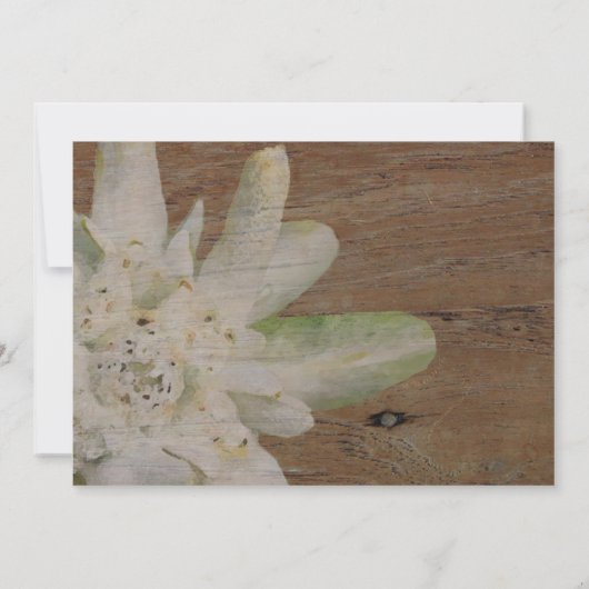 Landgebondenheid Edelweiss slaat de datum op Save The Date (Achterkant)