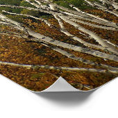 Landhoogte Poster (Hoek)