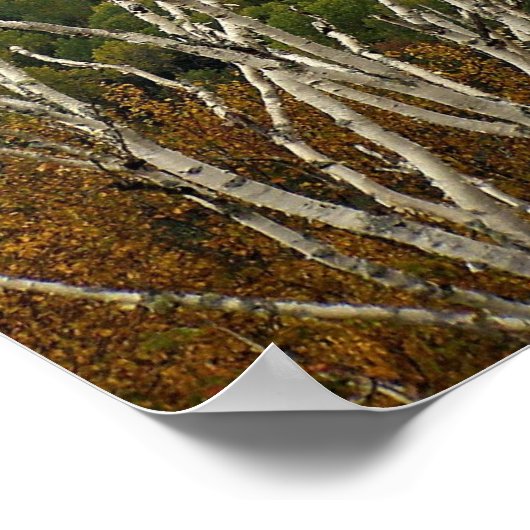 Landhoogte Poster (Hoek)