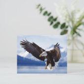 Landing Bald Eagle Briefkaart (Staand voorkant)