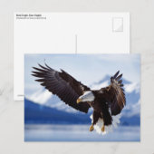 Landing Bald Eagle Briefkaart (Voorkant / Achterkant)