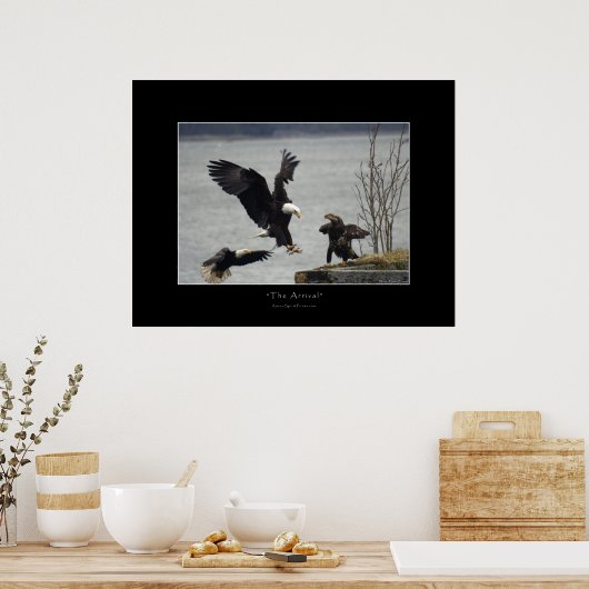 LANDING BALD EAGLE Foto Poster (Keuken)