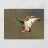 Landing Drake Briefkaart (Voorkant)