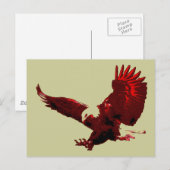 Landing Eagle - Eagle in Flight Briefkaarten (Voorkant / Achterkant)