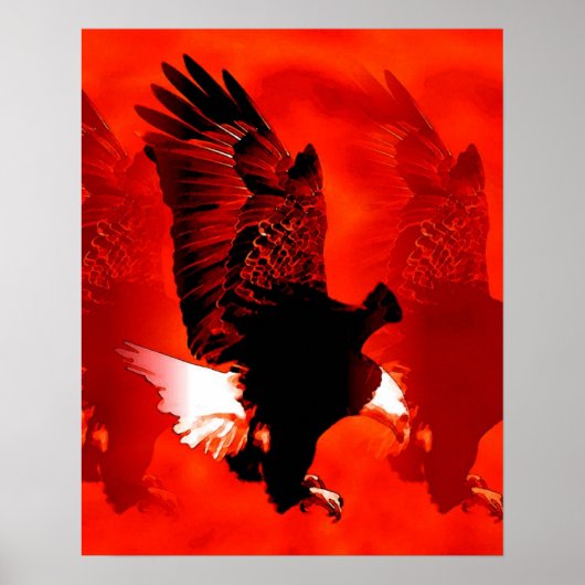 Landing Eagle Posterprint - Rode Eagle Posters (Voorkant)