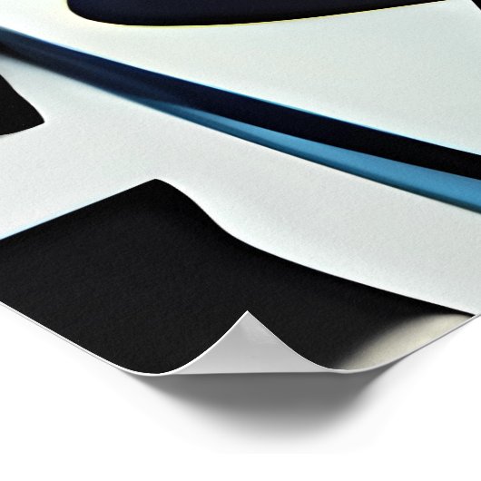 Landing From an Afternoon Nap Poster (Hoek)