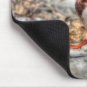 Landing Mallard Drake Wildlife Gift Muismat (Hoek)