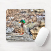 Landing Mallard Drake Wildlife Gift Muismat (Met muis)