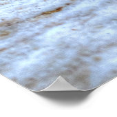 Landing Mallard Duck 3 Wildlife Foto Print (Hoek)