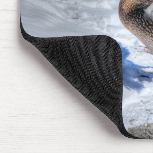 Landing Mallard Duck Birdlover Wildlife Foto Muismat (Hoek)