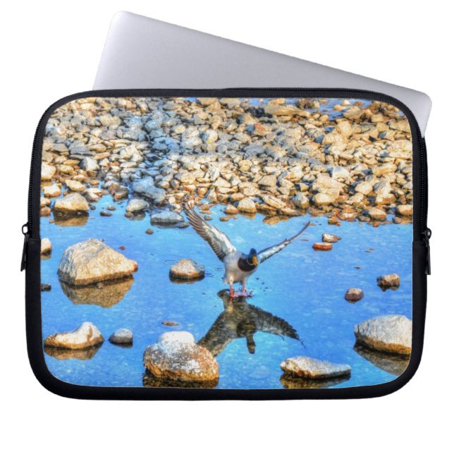 Landing Mallard Duck Drake 12 Wildlife Foto Laptop Sleeve (Voorkant)