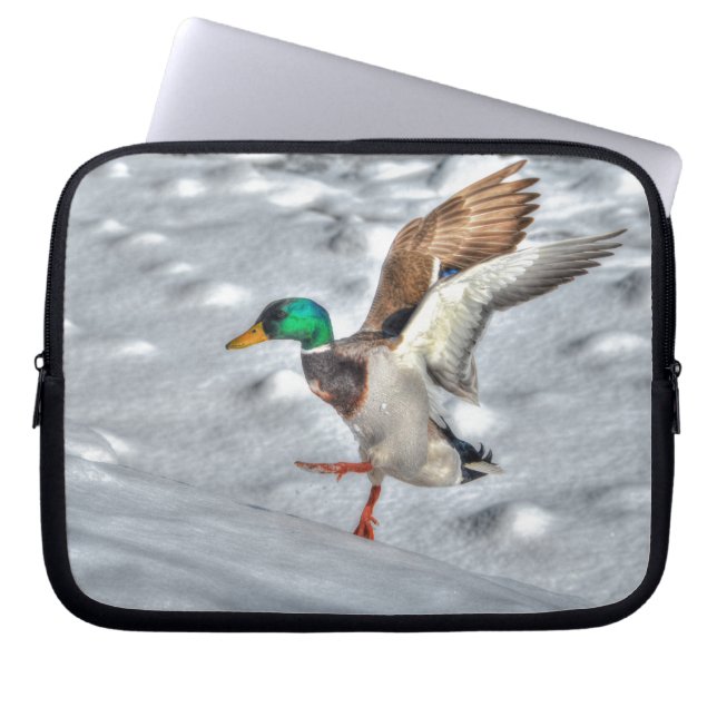 Landing Mallard Duck Drake 4 Wildlife Foto Laptop Sleeve (Voorkant)